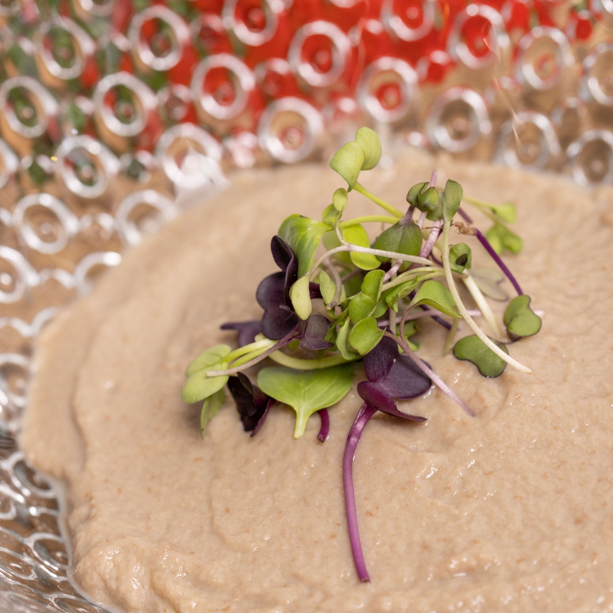 Crema de champiñones, setas y lentejas
