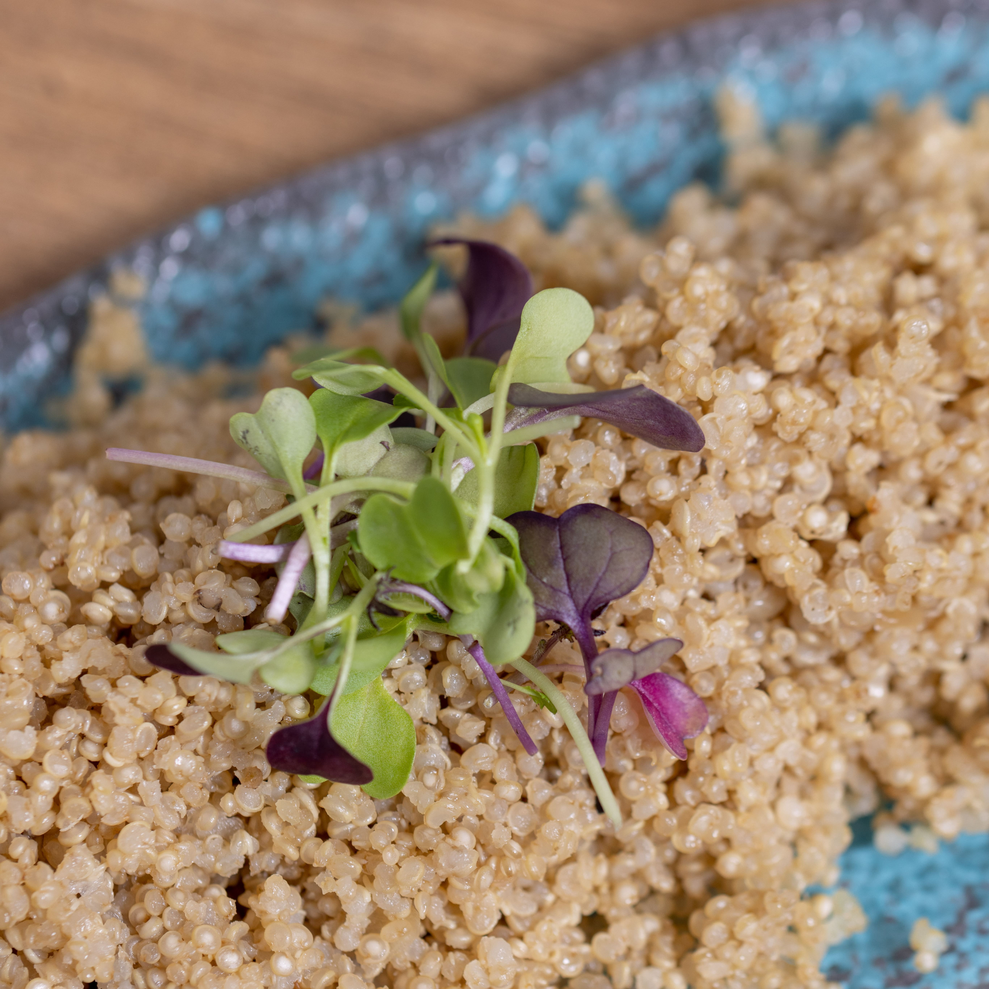 Quinoa